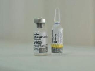 Doses da vacina contra a febre amarela, que estão disponíveis nos postos de saúde (Foto: Alcides Neto/Arquivo)