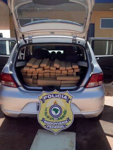Mais de 220 kg de maconha s&atilde;o apreendidos em rodovias do Estado