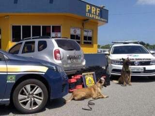 Cães auxiliaram policiais a encontrar as drogas (Foto: Divulgação/PRF)