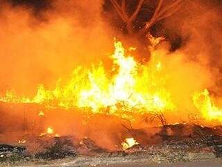 Incêndio em uma área grande de Corumbá. As chamas se alastraram o fogo se tornou de grande proporção. (Foto: Anderson Gallo/Diário Corumbaense)