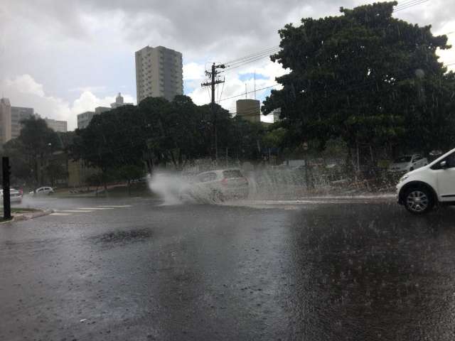 Chuva r&aacute;pida derruba &aacute;rvore e alaga ruas em Campo Grande