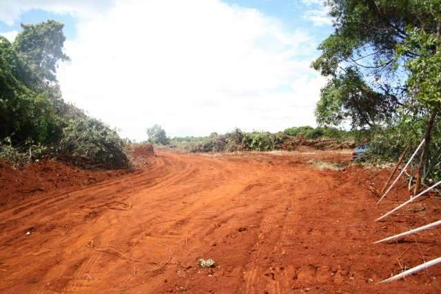 Ex&eacute;rcito desmata &aacute;rea e ambientalista v&ecirc; fim do &quot;pulm&atilde;o&quot; da Capital