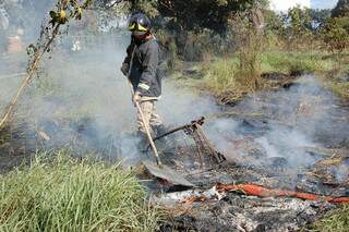 De acordo com o Corpo de Bombeiros, o fogo atingiu ao menos cinco hectares de mata.