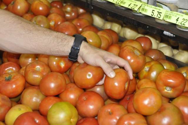 Tomate apresenta alta de 12,49% e inflaciona cesta b&aacute;sica na Capital