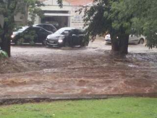 Córrego Prosa cheio durante chuva desta tarde (Foto: Direto das Ruas)