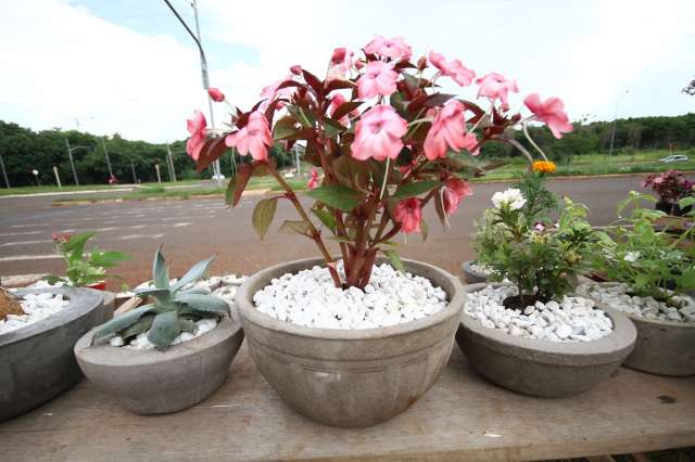 Floricultura m&oacute;vel &eacute; neg&oacute;cio aut&ecirc;ntico de fam&iacute;lia estacionado no bairro Oliveira