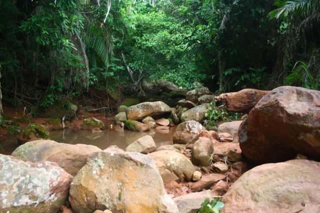 Secretaria monta grupo para definir tipos de impacto ambiental