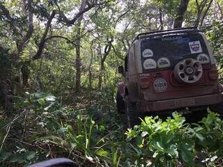 No meio do Pantanal, o carro atola ou se prende à mata, mas aventura compensa. (Foto: Acervo Pessoal)