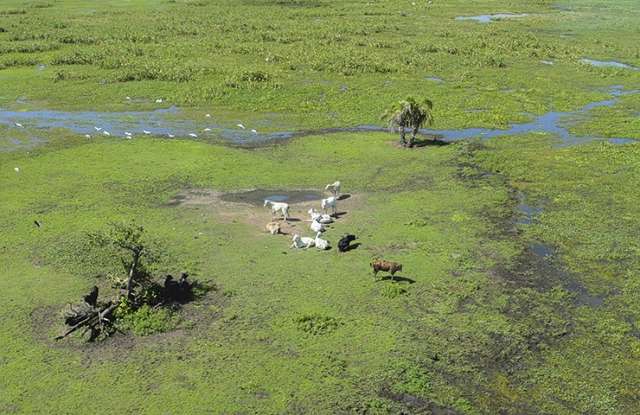 Programa tira d&uacute;vidas de produtores sobre cadastro ambiental obrigat&oacute;rio