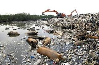 O projeto inovador pretende acabar com a poluição do meio ambiente e fazer o lixo gerar renda (Foto: Divulgação)