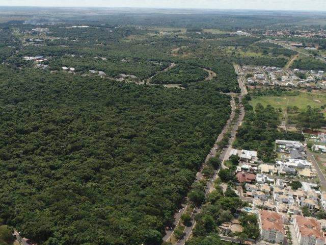 A&ccedil;&atilde;o na Justi&ccedil;a pretende impedir desmatamento no Parque dos Poderes 