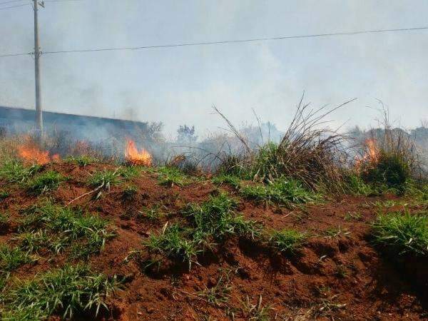 Inc&ecirc;ndio toma conta de terreno e chega &agrave;s margens da rodovia na Capital