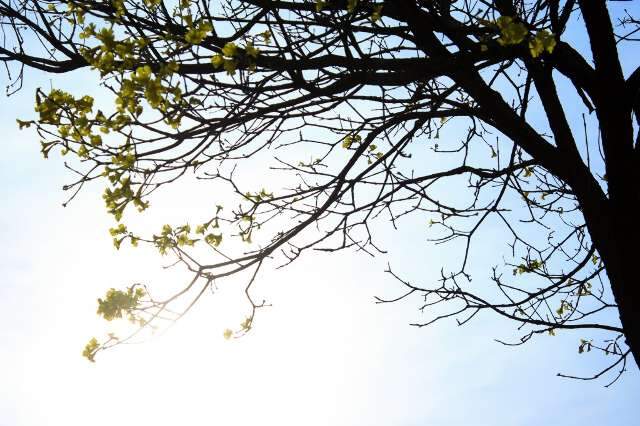 Domingo ter&aacute; sol forte, calor de 39&ordm;C e chance de chuva isolada