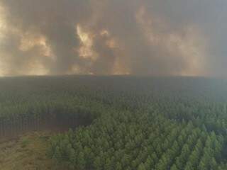 Fumaça de incêndio ocorrido em área de Ribas do Rio Pardo no ano passado (Foto: Arquivo)
