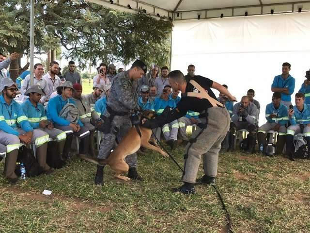 Leituristas da Energisa recebem treinamento para evitar ataques de c&atilde;es