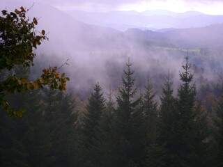 Formada por pinheiros, a Floresta Negra permanece verde mesmo no inverno rigoroso.