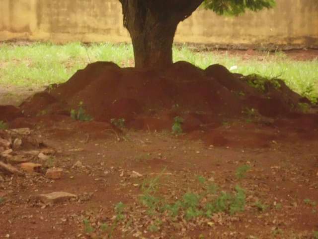 M&atilde;es que denunciaram maus-tratos exigem posicionamento da Semed 