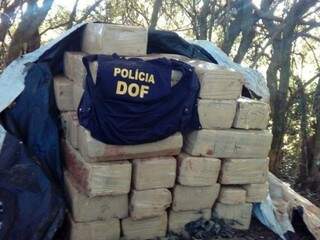 Fardos de maconha encontrados em chácara onde foi preso irmão do prefeito de Aral Moreira (Foto: Divulgação/DOF)