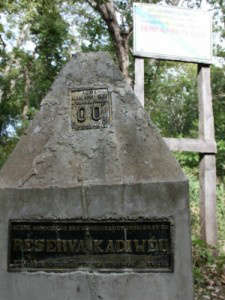  Kadiw&eacute;us t&ecirc;m 30 dias para sair de fazenda invadida em Porto Murtinho
