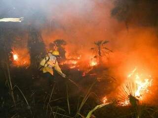 Brigadistas combateram fogo no Pantanal por R$ 933 ao mês (Foto: Arquivo/Paulo Francis )