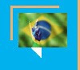 Diferenças entre EUA e Brasil: posse da terra e democracia