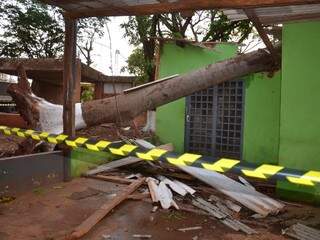 Conforme o Corpo de Bombeiros, apenas uma residência sofreu interdição por queda de árvore (Foto: Minamar Júnior)