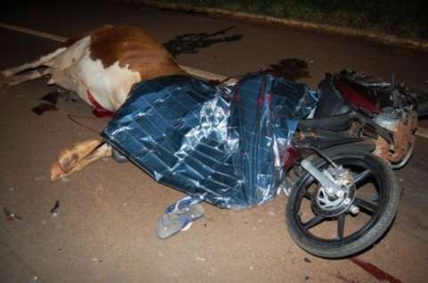 Jovem de 21 anos morre ao colidir moto com vaca na MS-376 