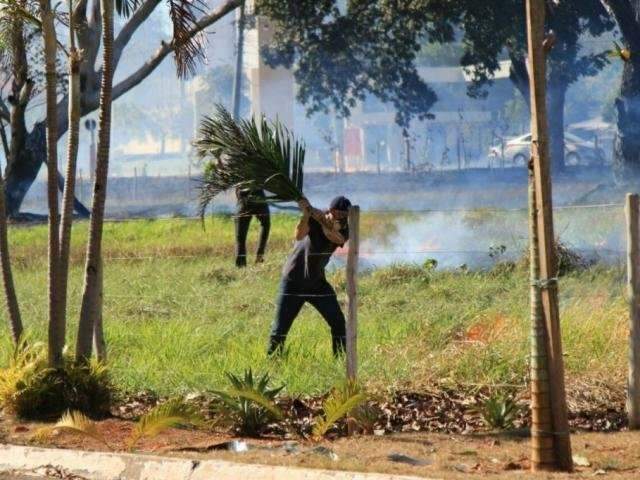 Com agosto at&iacute;pico, queimadas urbanas caem &agrave; metade