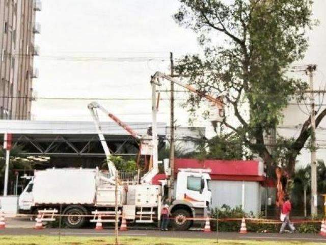 Energisa vai fazer poda emergencial de &aacute;rvores em contato com fios el&eacute;tricos 