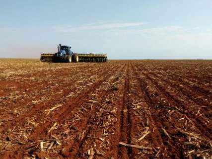 Plantio de soja avança em 28 mil hectares por dia em MS, mostra levantamento