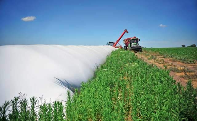 Silos e armaz&eacute;ns graneleiros predominam em estocagem agr&iacute;cola de MS