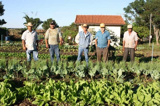 Vereadores pedem laudo sobre qualidade de hortali&ccedil;as e agricultores protestam