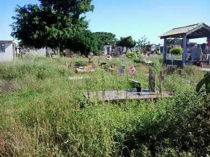 Leitores ainda se queixam do mato alto no cemitério Santo Amaro