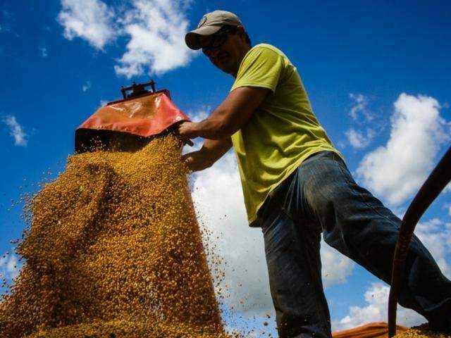 Produtores de MS j&aacute; conseguiram vender 7 milh&otilde;es de toneladas de soja