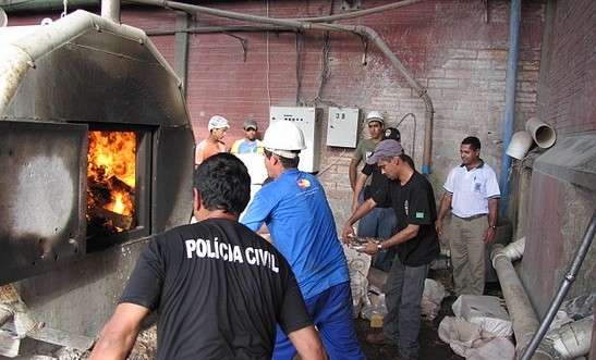 Carga de 1,5 tonelada de maconha &eacute; incinerada pela pol&iacute;cia em Sete Quedas