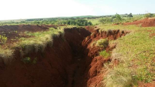 Fazendeira &eacute; multada em R$ 17 mil por degradar o meio ambiente