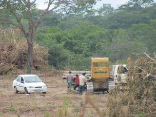 Desmatamento perto de rio teve suspensão temporária publicada nesta quarta-feira. (Foto: Direto das Ruas)