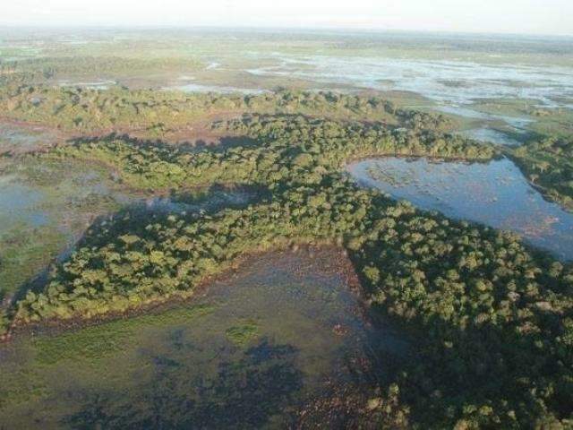 Julgamento de recurso que suspende desmatamento em fazenda &eacute; adiado