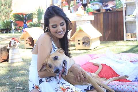 Cãozinho tetraplégico festeja com animais do CCZ 6 anos de vida longe das ruas