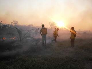 Brigadistas tentam apagar fogo na reserva Kadwéu. (Foto: Divulgação/Ibama)