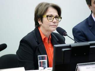 Deputada federal Tereza Cristina, durante votação da comissão (Foto: Michel Jesus/Câmara dos Deputados)
