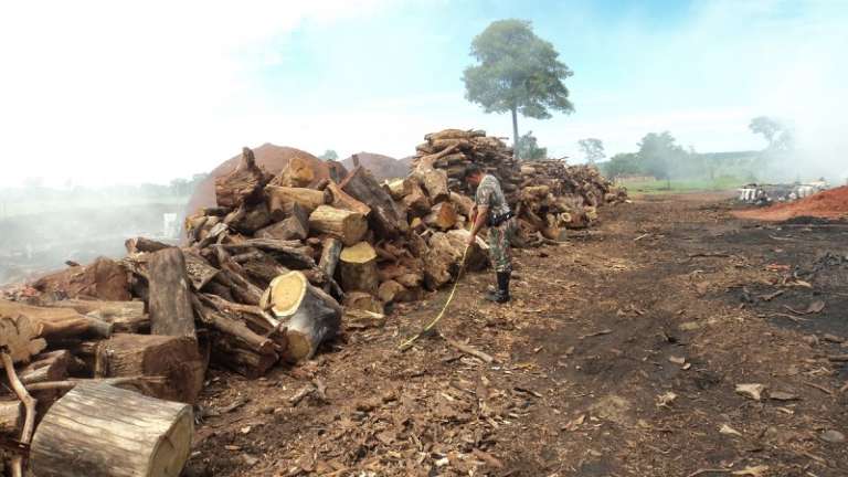 136 m³ de madeira nativa foram encontrados no local. (Foto: Divulgação PMA)