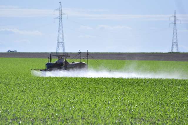 Prazo para plantar milho termina 5&ordf;, mas ainda tem produtor colhendo soja