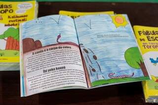 Capa do livro que está sendo distribuído gratuitamente em escolas de Miranda. 
