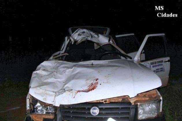 Motorista atropela vaca e passageiro fica ferido em estado grave na MS-145