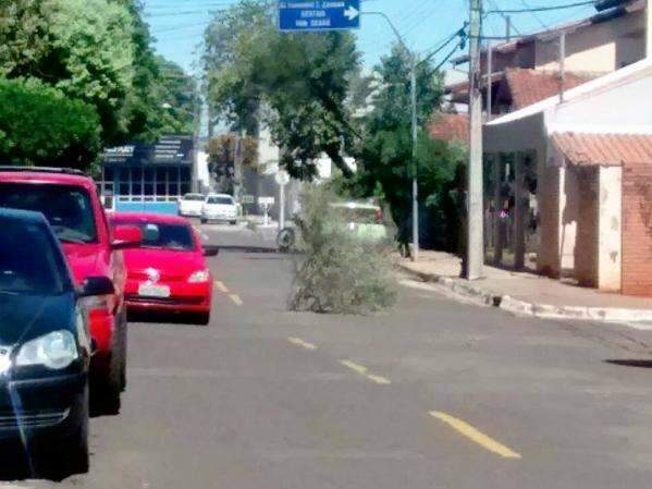 Tampa &quot;some&quot; e moradores sinalizam bueiro com galhos no Monte Libano