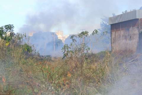 Estado registra 108 focos de queimadas em apenas três dias, mostra Inpe