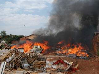 Incêndio atingiu todo terreno baldio no Santo Amaro. (Fotos: Dendry Rios/DiarioCG)