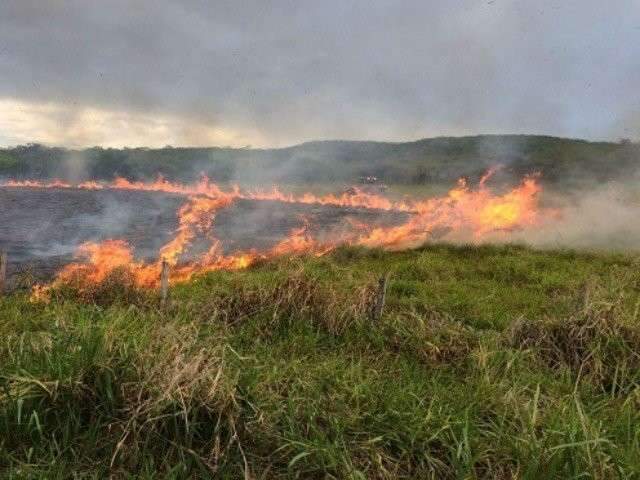 Em setembro, MS  registra recorde dos &uacute;ltimos 10 anos em queimadas