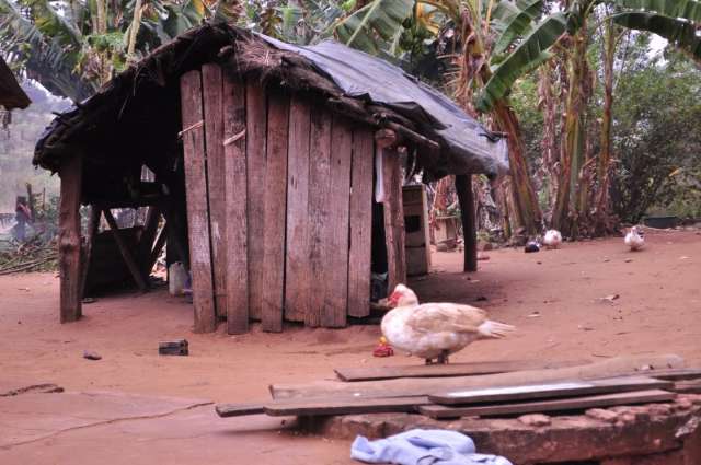 Relat&oacute;rio registra 73 suic&iacute;dios de &iacute;ndios em MS, recorde em 28 anos